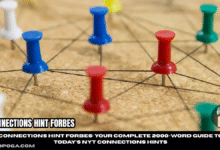 connections hint forbes